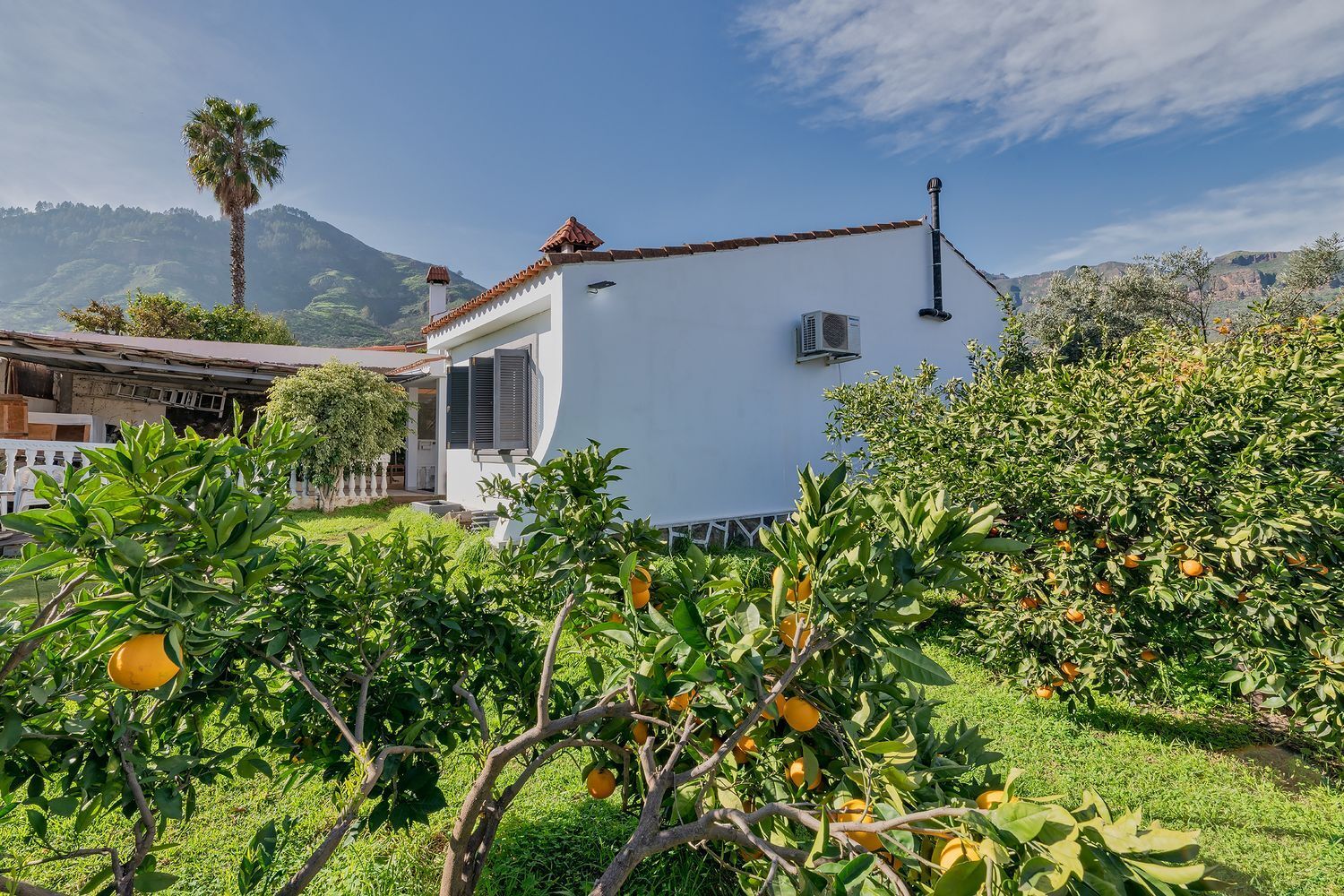 Casas o chalets-Venta-Valsequillo de Gran Canaria-2060763-Foto-10