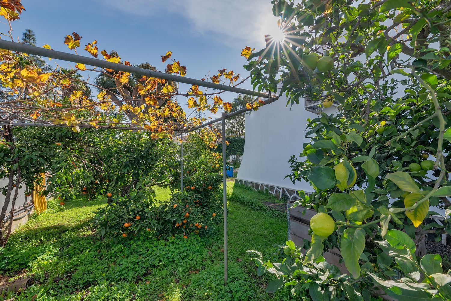 Casas o chalets-Venta-Valsequillo de Gran Canaria-2060763-Foto-11