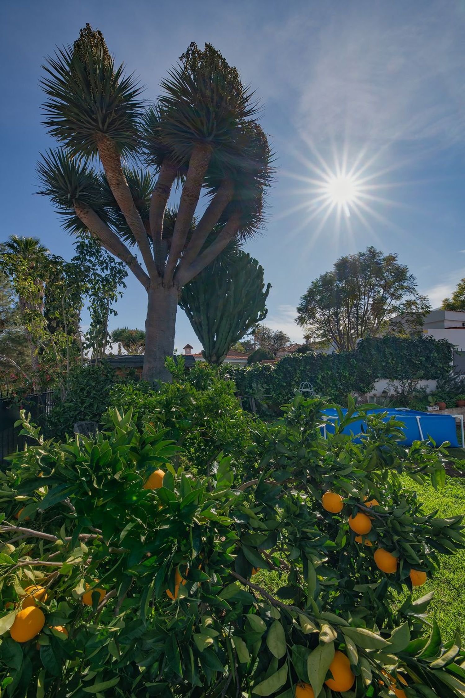 Casas o chalets-Venta-Valsequillo de Gran Canaria-2060763-Foto-9