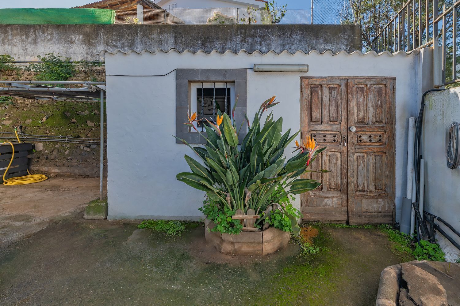 Casas o chalets-Venta-Valsequillo de Gran Canaria-2060763-Foto-15