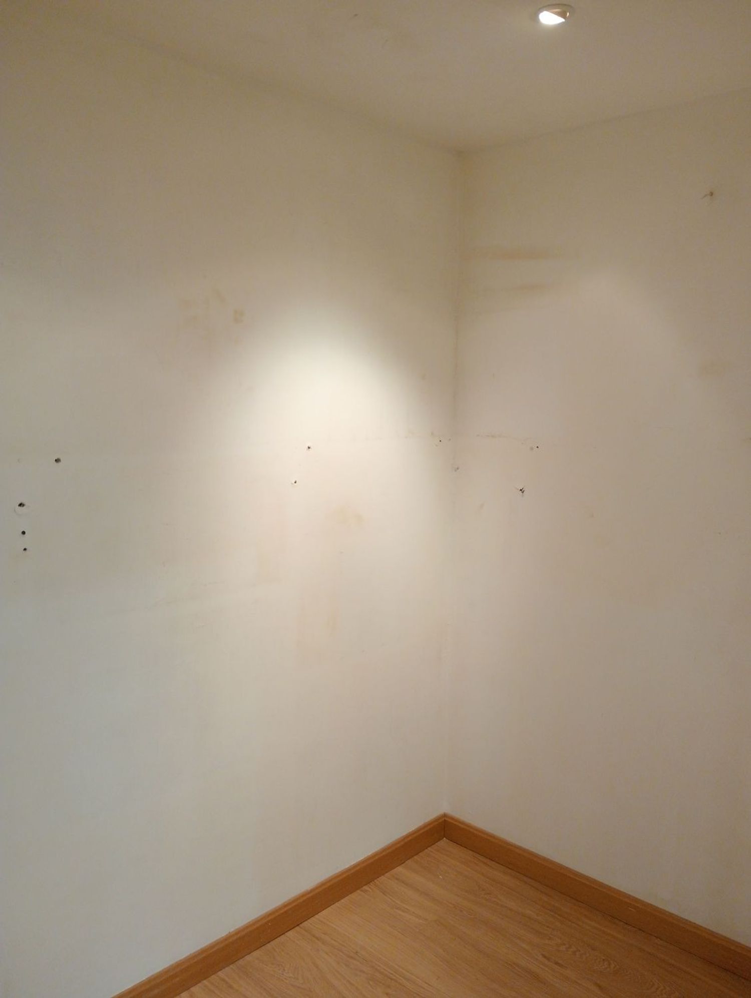 Negocios-Alquiler-Laguna de Duero-2060781-Foto-9