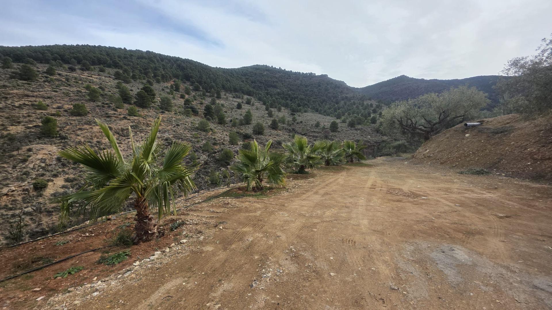 Fincas y solares-Venta-FondÃ³n-1047215-Foto-5