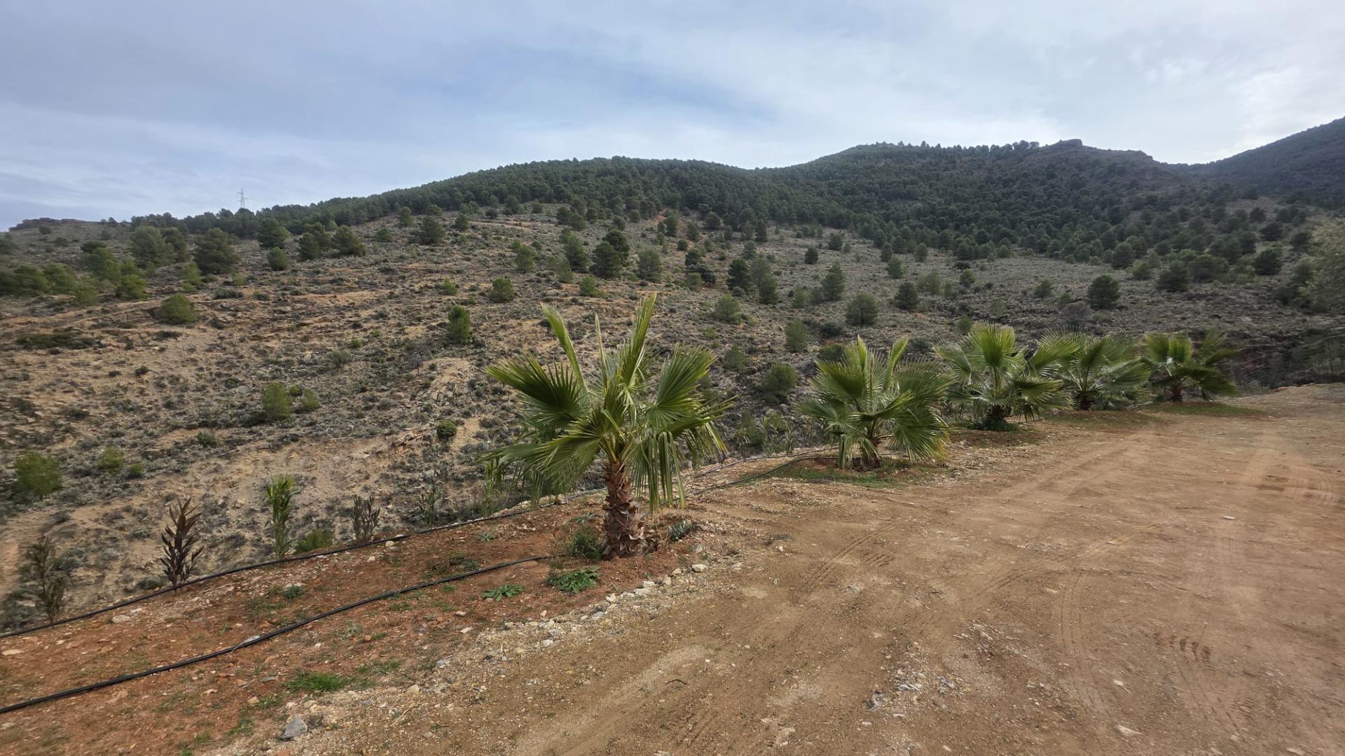 Fincas y solares-Venta-FondÃ³n-1047215-Foto-4