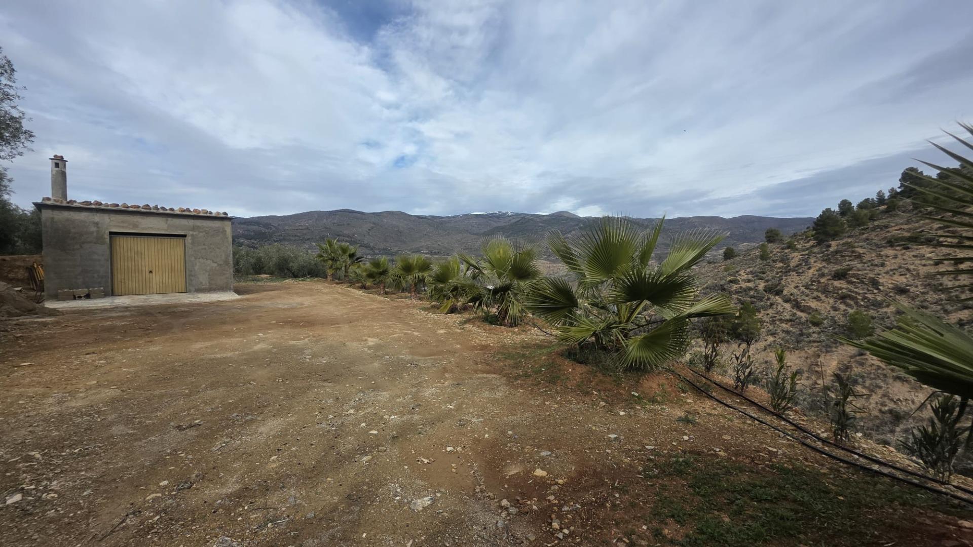 Fincas y solares-Venta-FondÃ³n-1047215-Foto-11