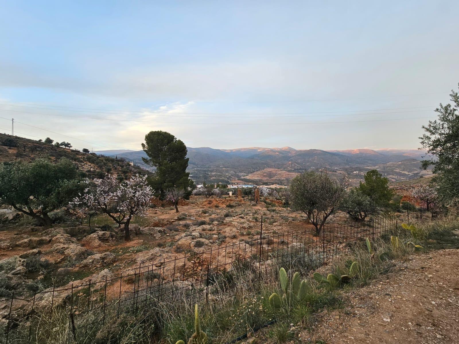 Fincas y solares-Venta-FondÃ³n-1047215-Foto-14