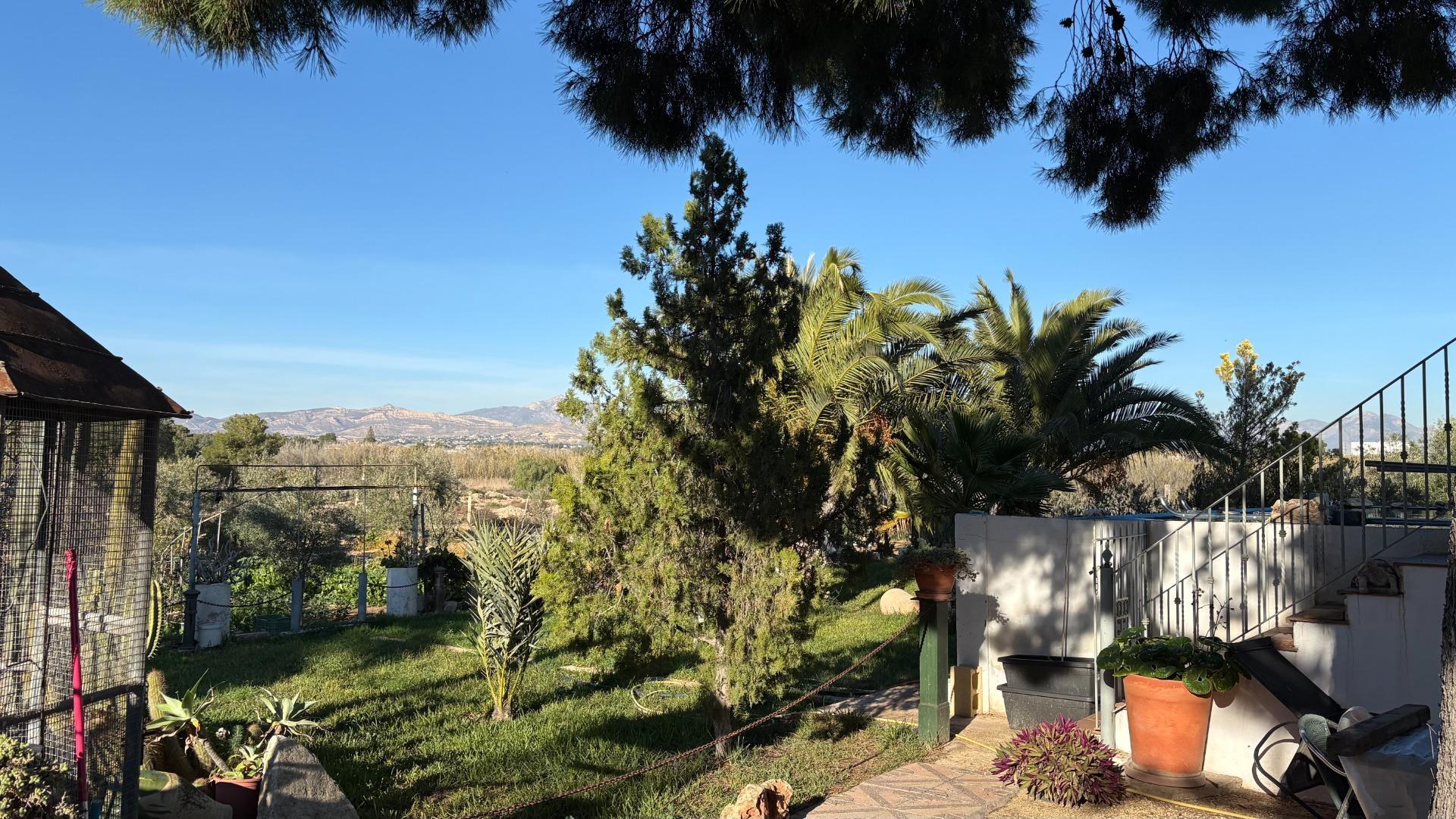 Casas o chalets-Venta-Alicante-2060793-Foto-18