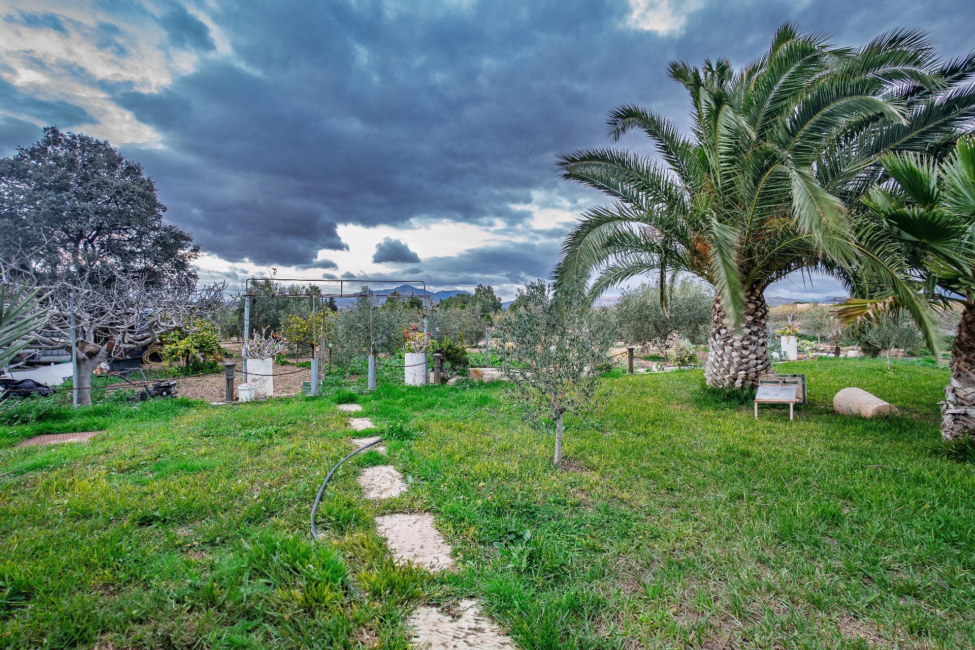 Casas o chalets-Venta-Alicante-2060793-Foto-43