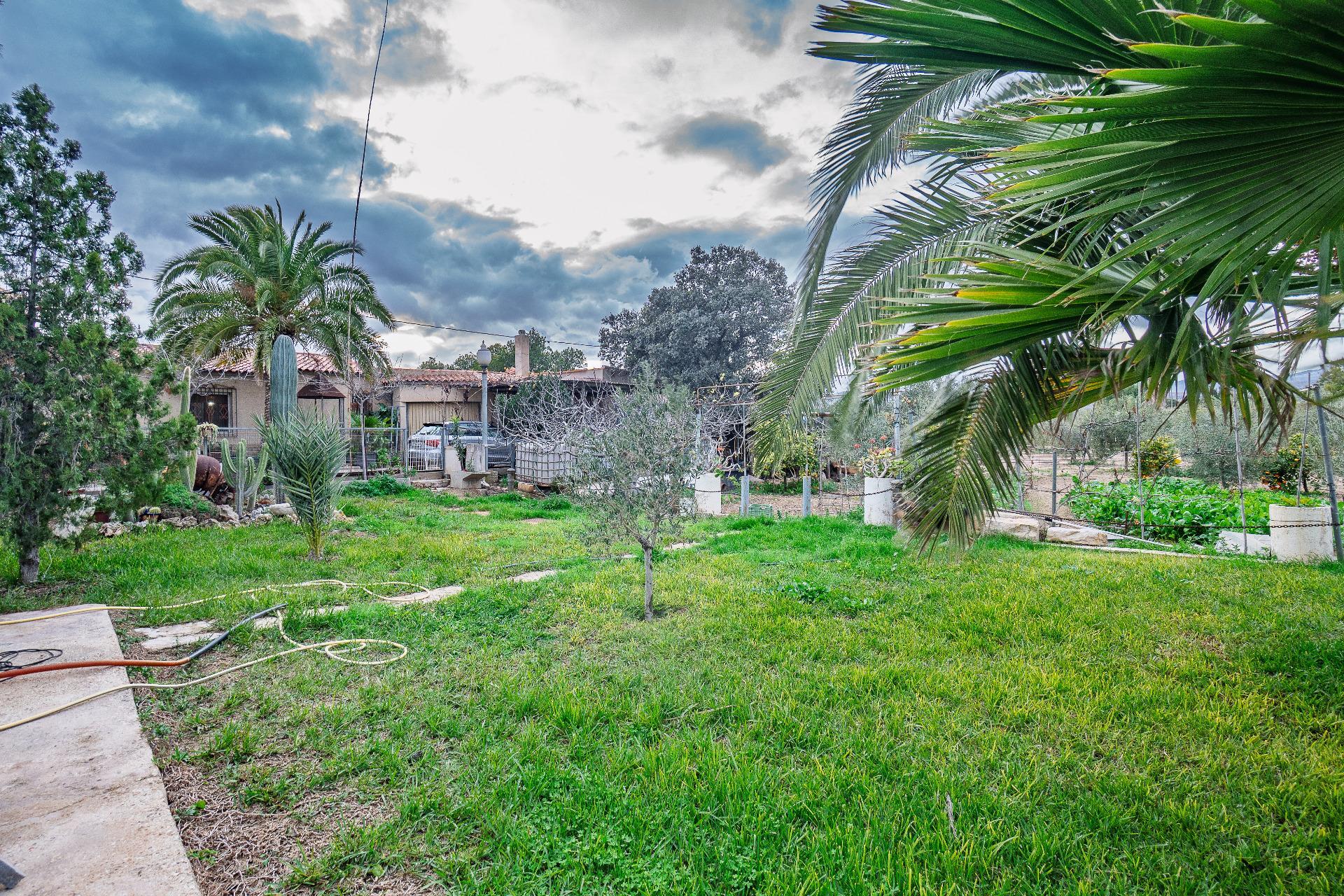 Casas o chalets-Venta-Alicante-2060793-Foto-46