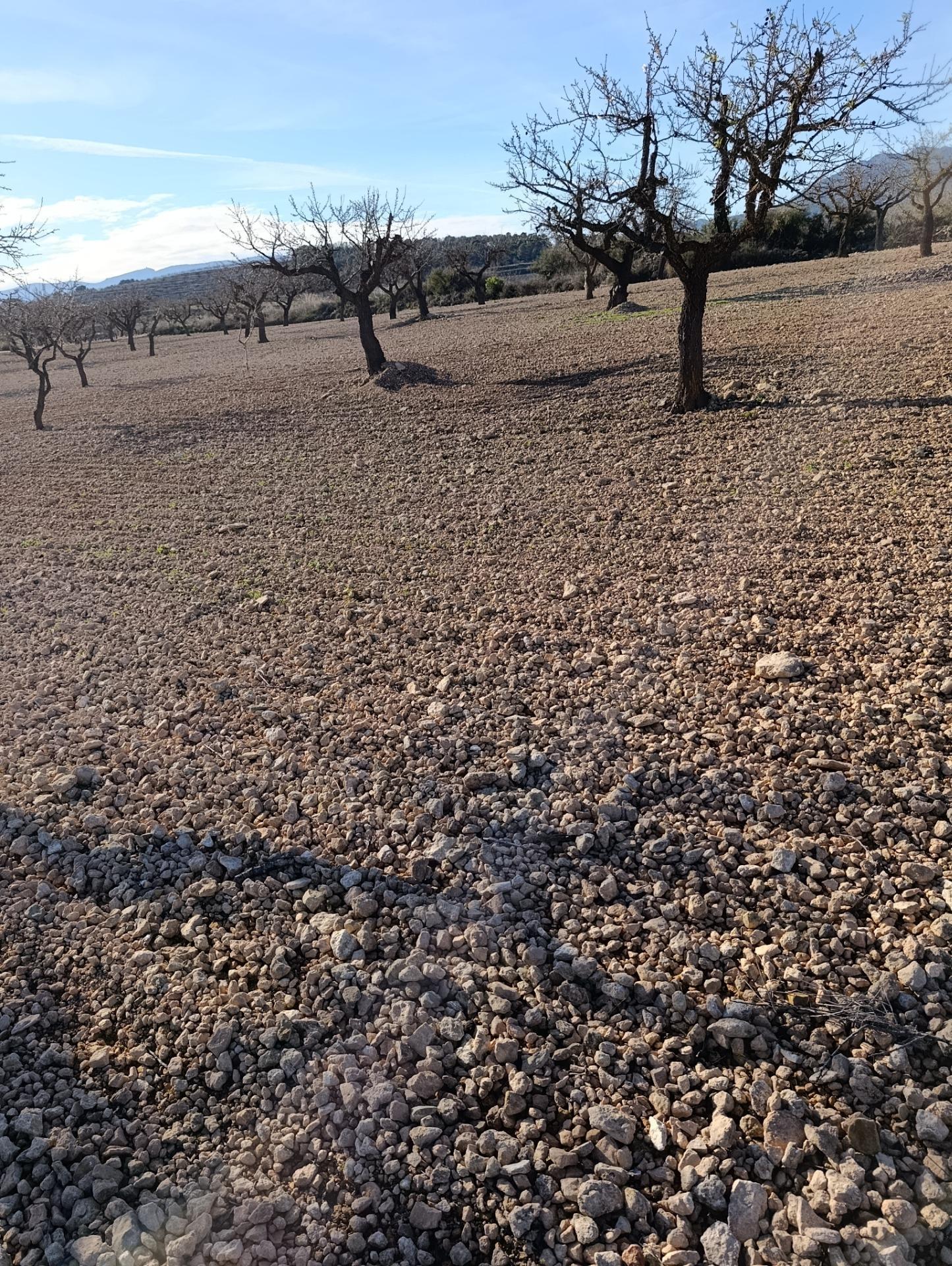 Suelo en venta, Molina de Segura, Murcia, Murcia