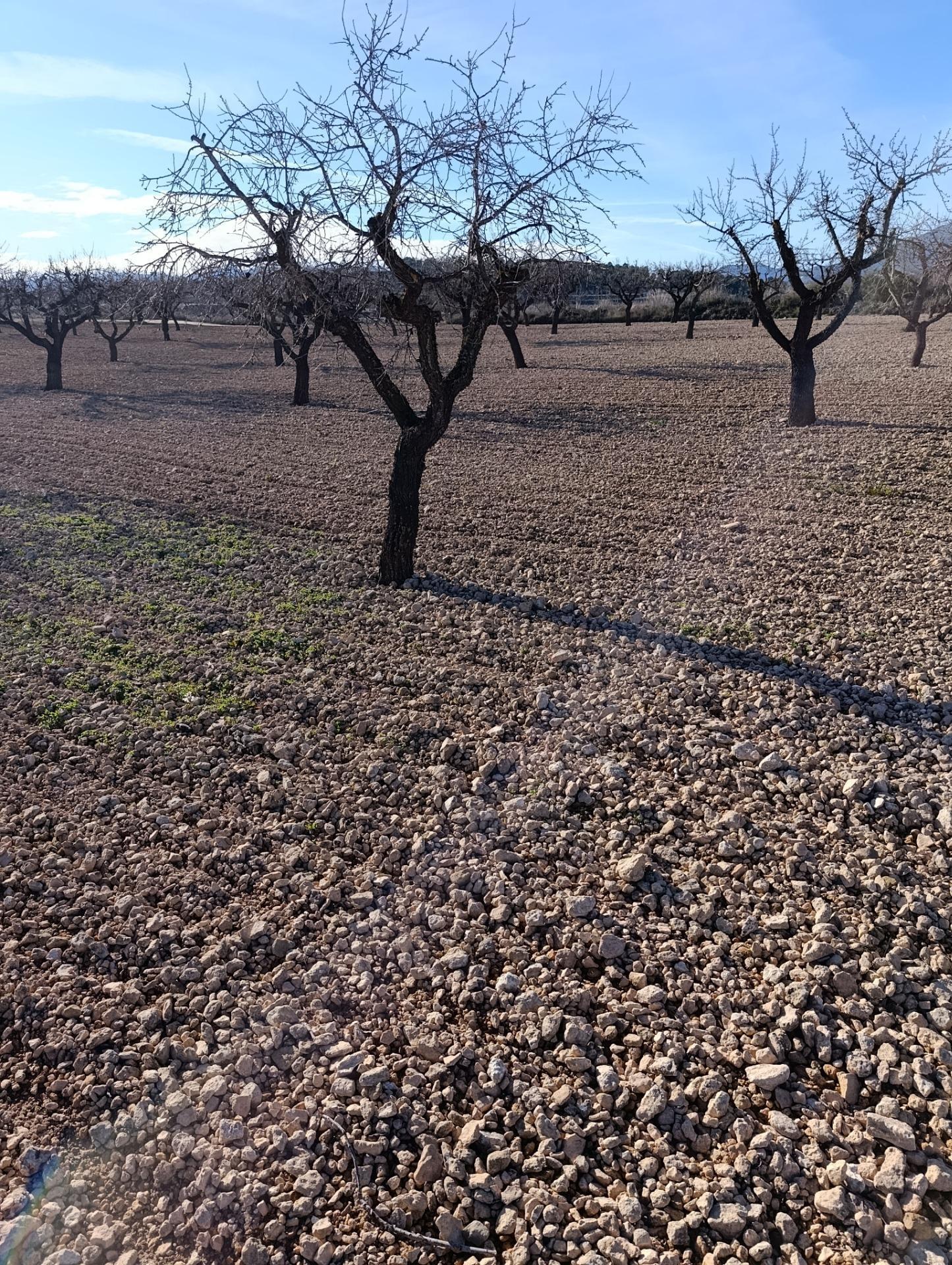 Suelo en venta, Molina de Segura