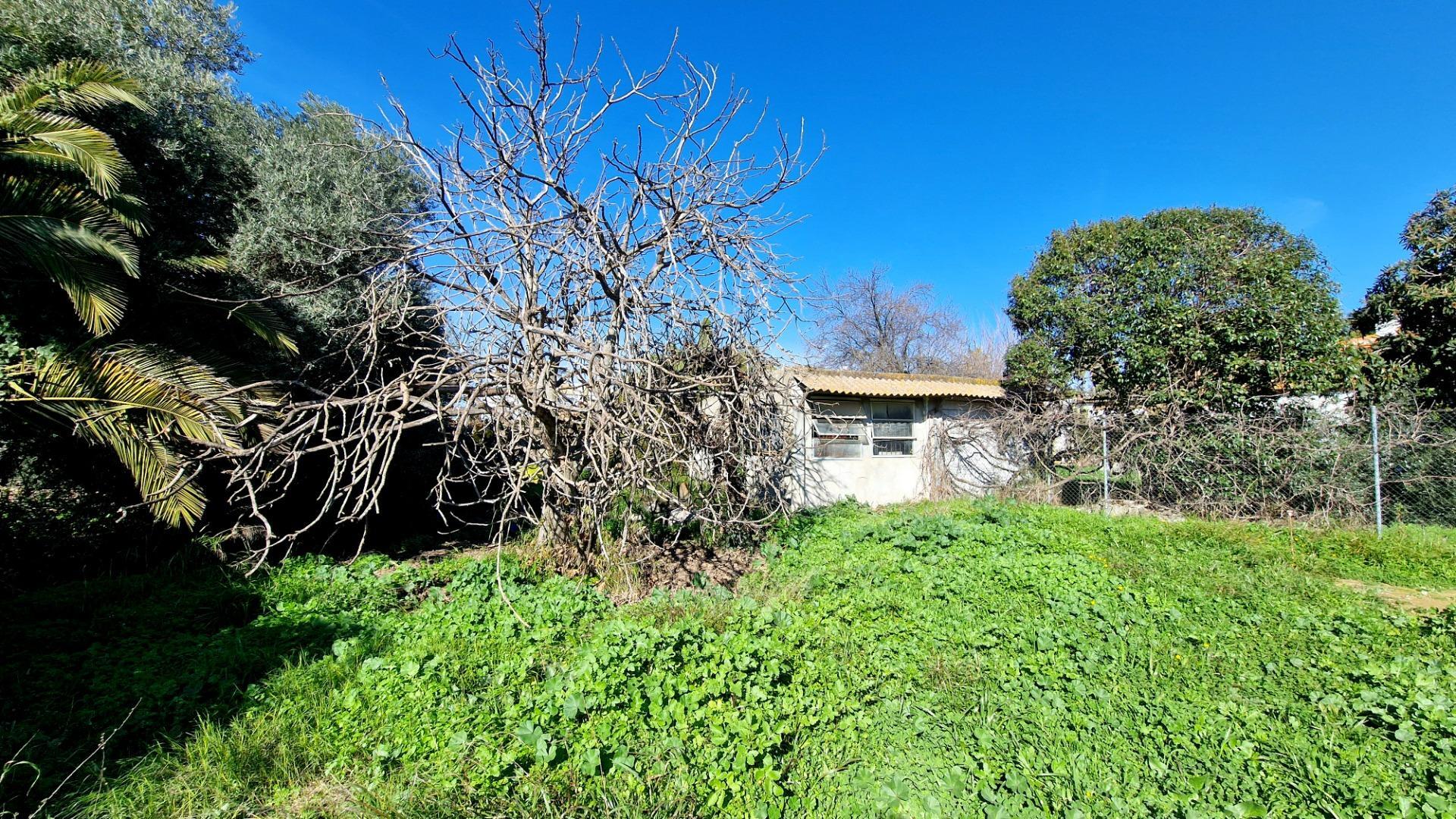 Fincas y solares-Venta-Valencina de la ConcepciÃ³n-2107610-Foto-3