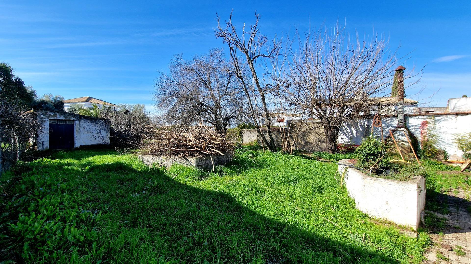 Fincas y solares-Venta-Valencina de la ConcepciÃ³n-2107610-Foto-5