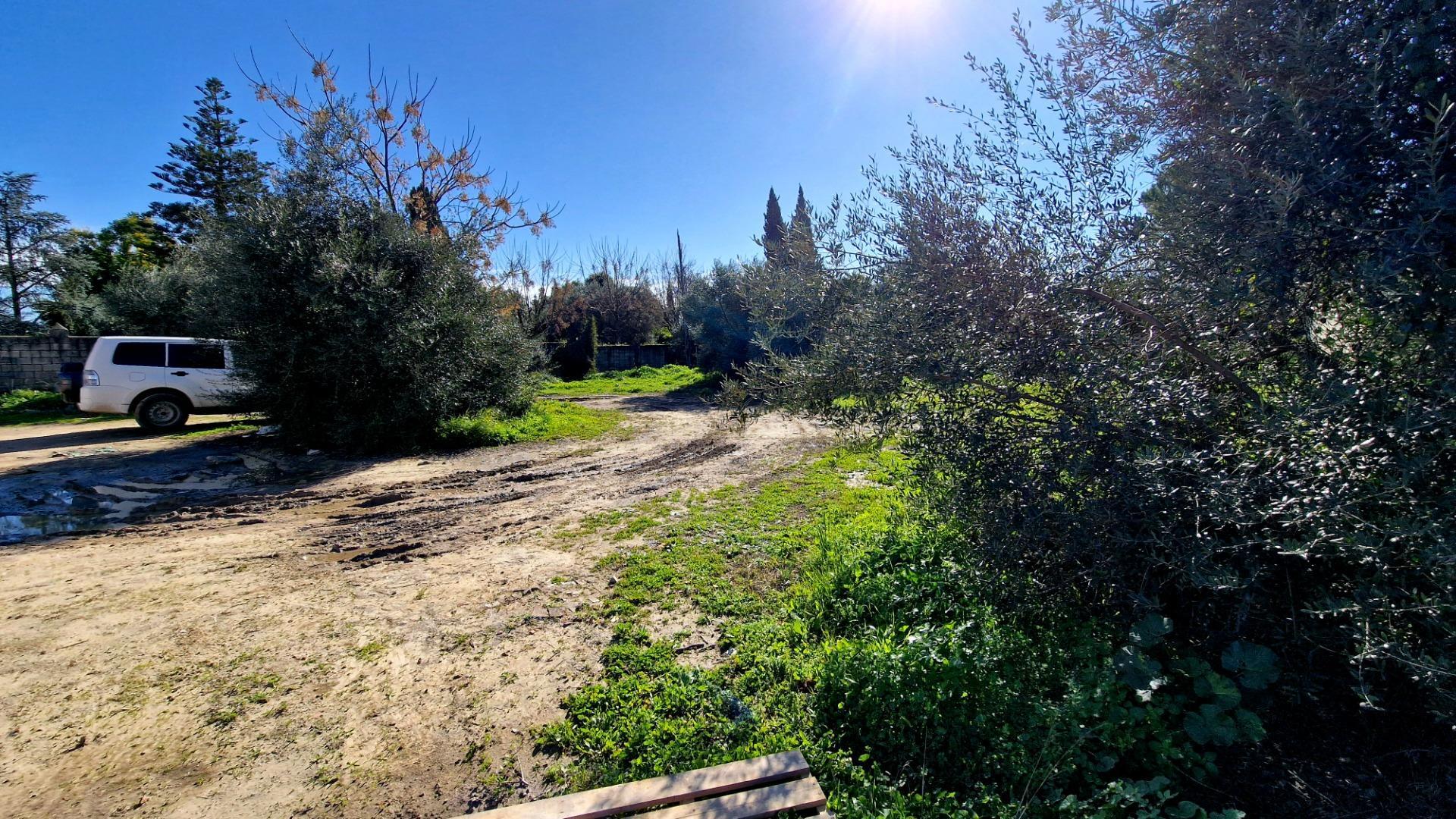 Fincas y solares-Venta-Valencina de la ConcepciÃ³n-2107610-Foto-6