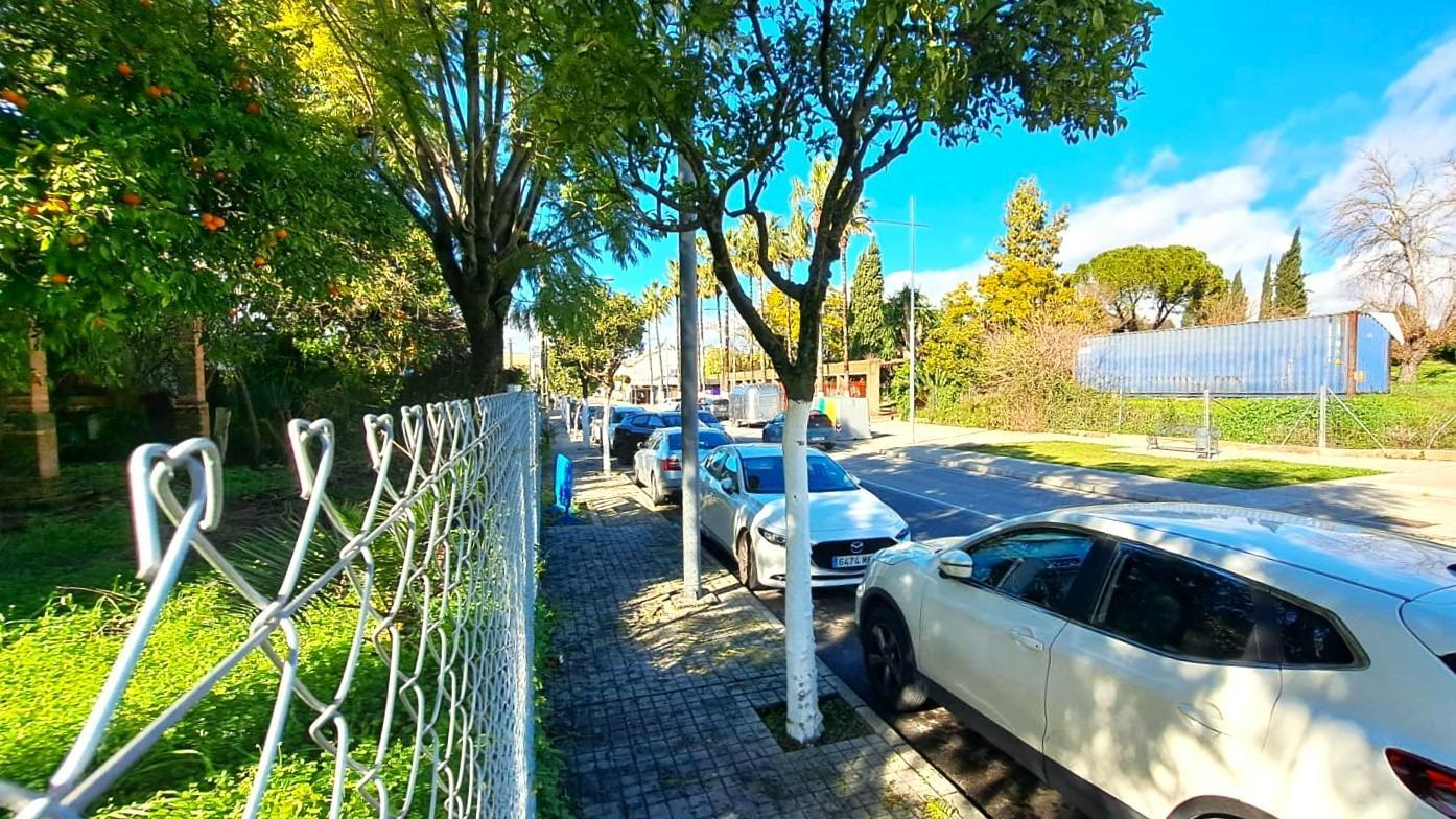 Fincas y solares-Venta-Valencina de la ConcepciÃ³n-2107610-Foto-8