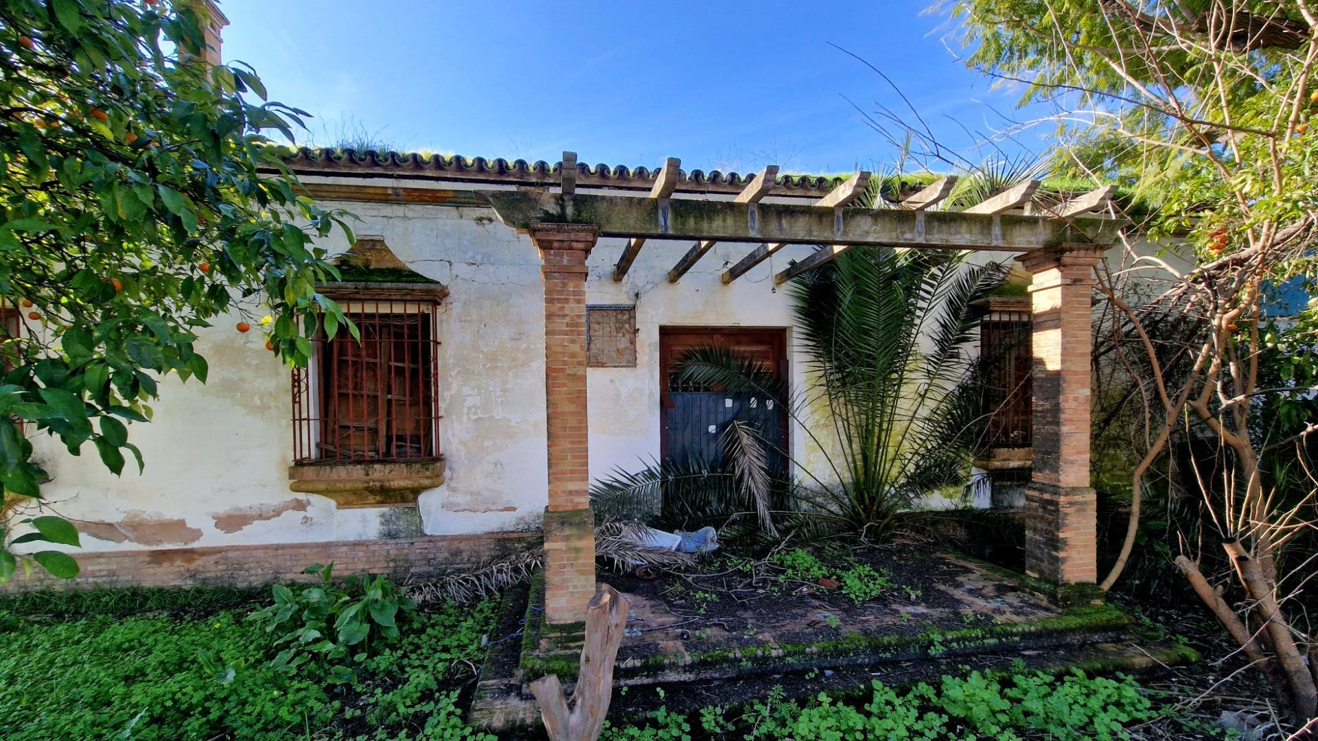 Casas o chalets-Venta-Valencina de la ConcepciÃ³n-2107613-Foto-3