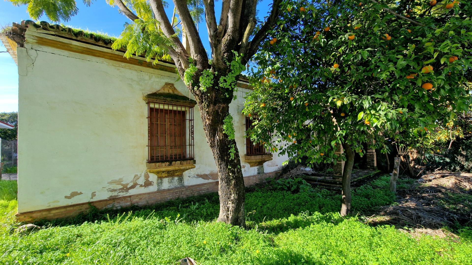 Casas o chalets-Venta-Valencina de la ConcepciÃ³n-2107613-Foto-2