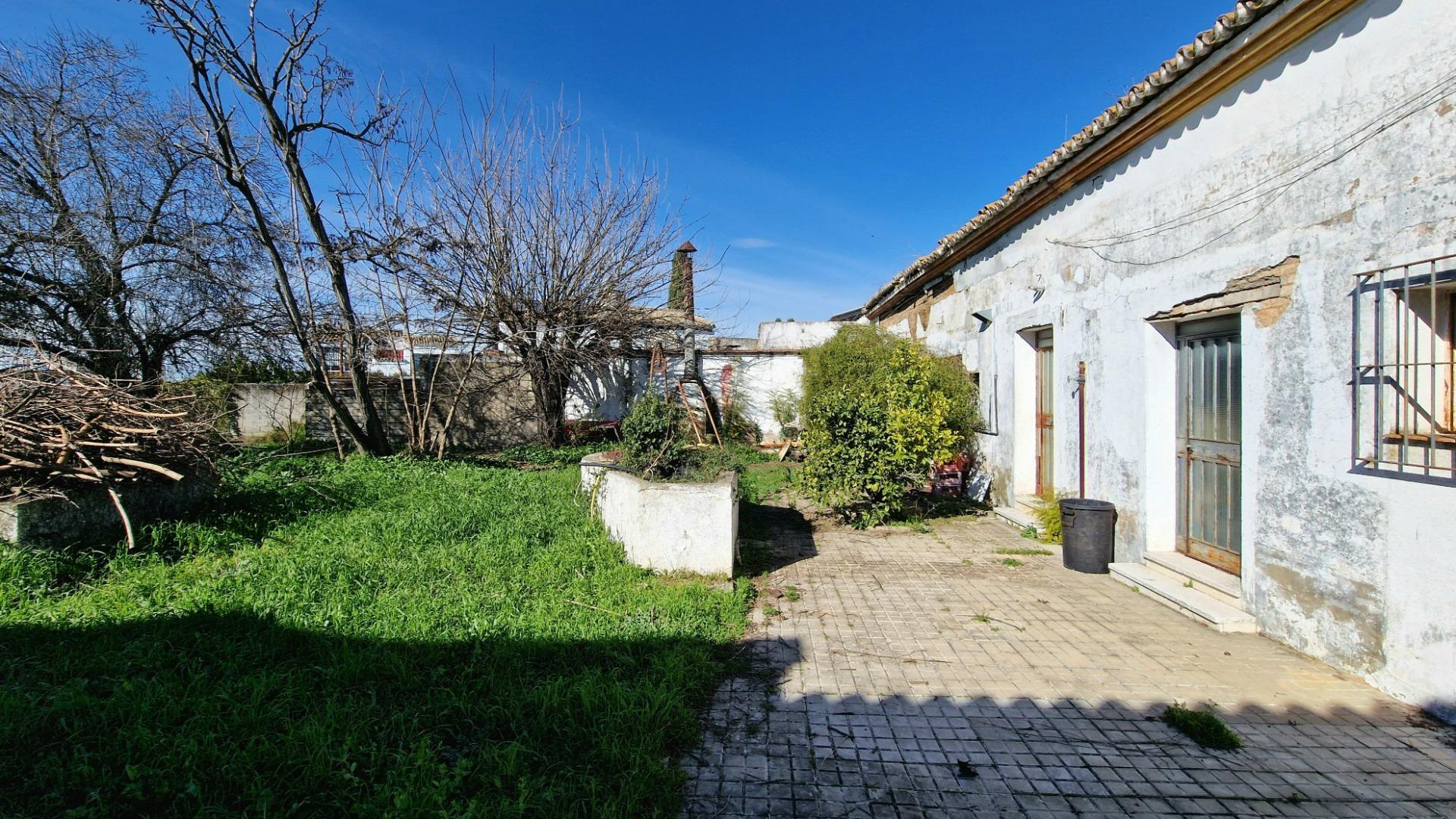 Casas o chalets-Venta-Valencina de la ConcepciÃ³n-2107613-Foto-6