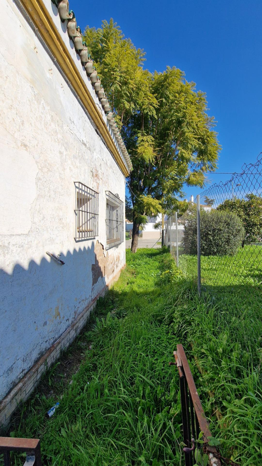 Casas o chalets-Venta-Valencina de la ConcepciÃ³n-2107613-Foto-12