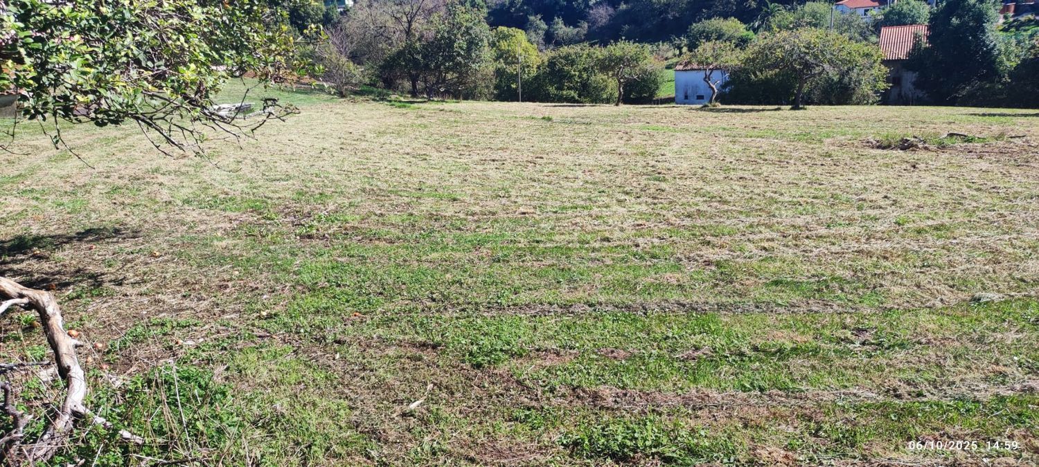 Fincas y solares-Venta-GijÃ³n-1886828-Foto-3