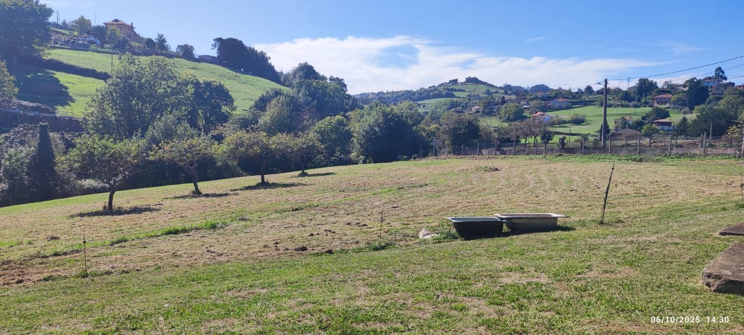 Fincas y solares-Venta-GijÃ³n-1886828-Foto-6