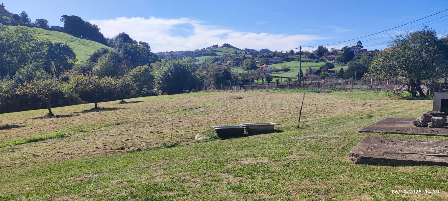 Fincas y solares-Venta-GijÃ³n-1886828-Foto-5