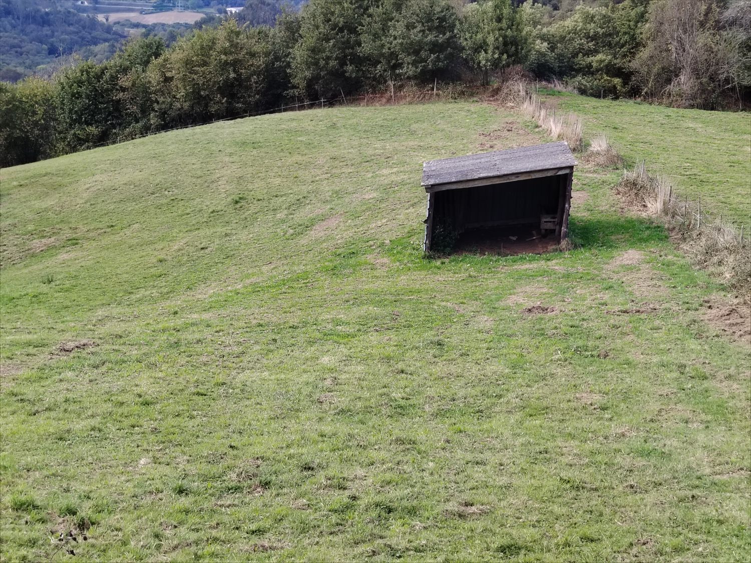 Fincas y solares-Venta-Langreo-2063098-Foto-2