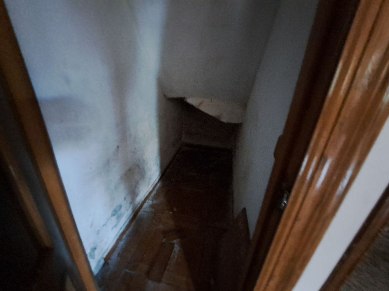 Casas o chalets-Venta-Langreo-1993574-Foto-15