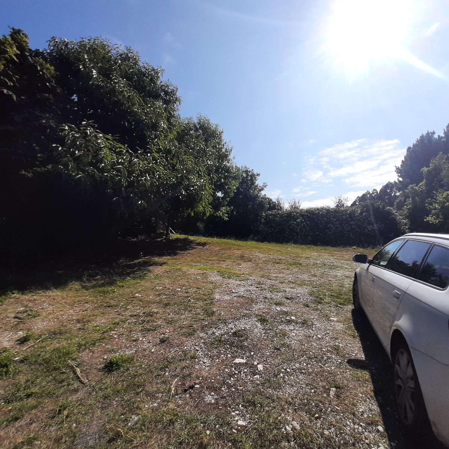 Casas o chalets-Venta-MaÃ±Ã³n-1835032-Foto-7