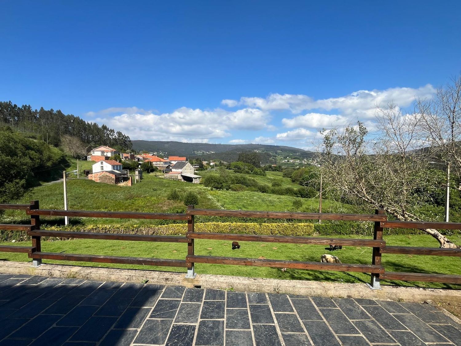 Casas o chalets-Venta-Cedeira-1830071-Foto-44