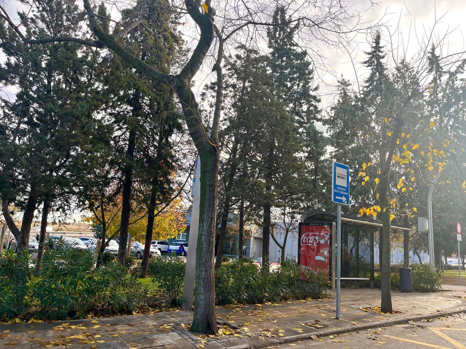 Pisos-Venta-Toledo-2044350-Foto-15