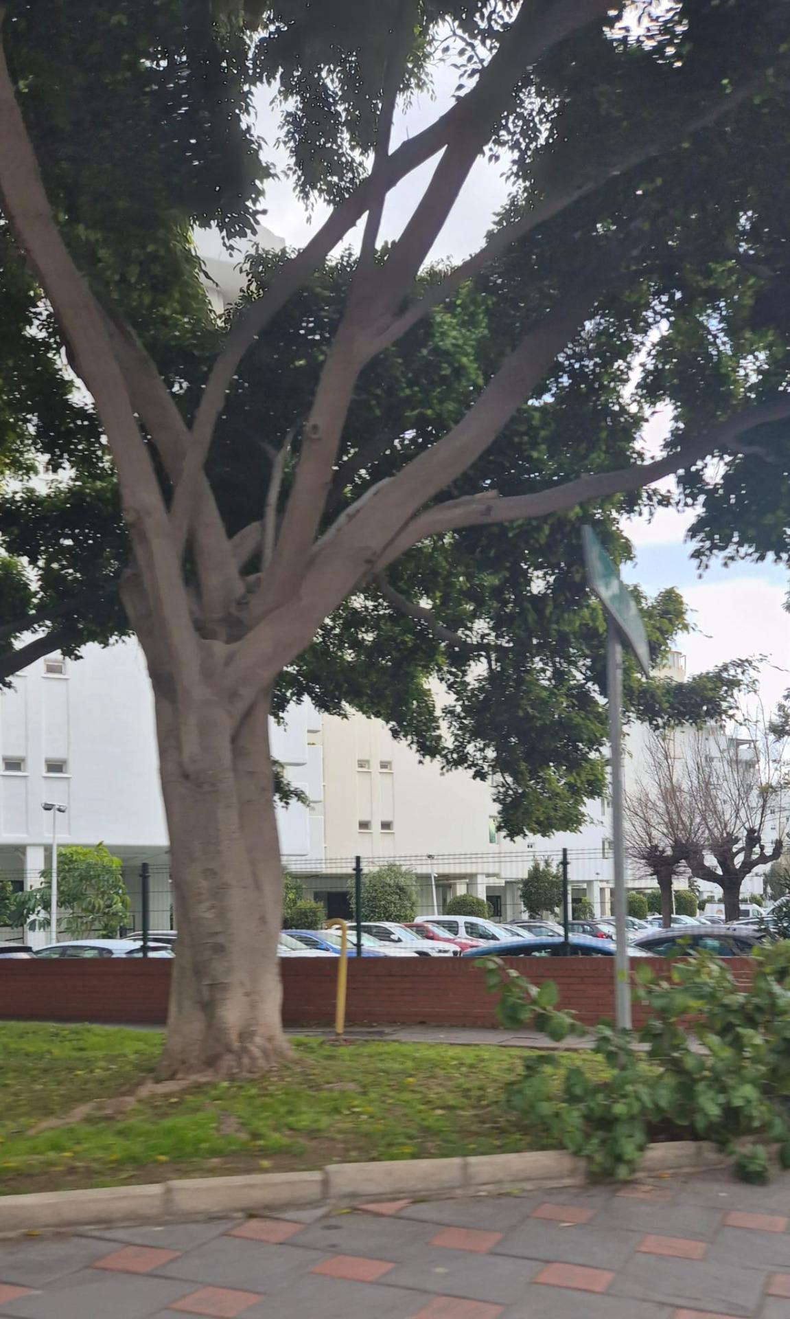 Pisos-Venta-Fuengirola-1745166-Foto-25