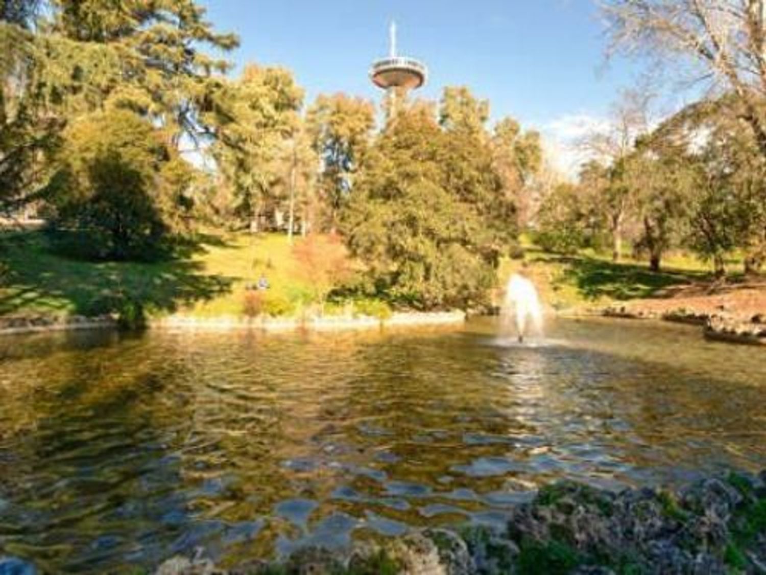 Pisos-Venta-Madrid-1994522-Foto-19