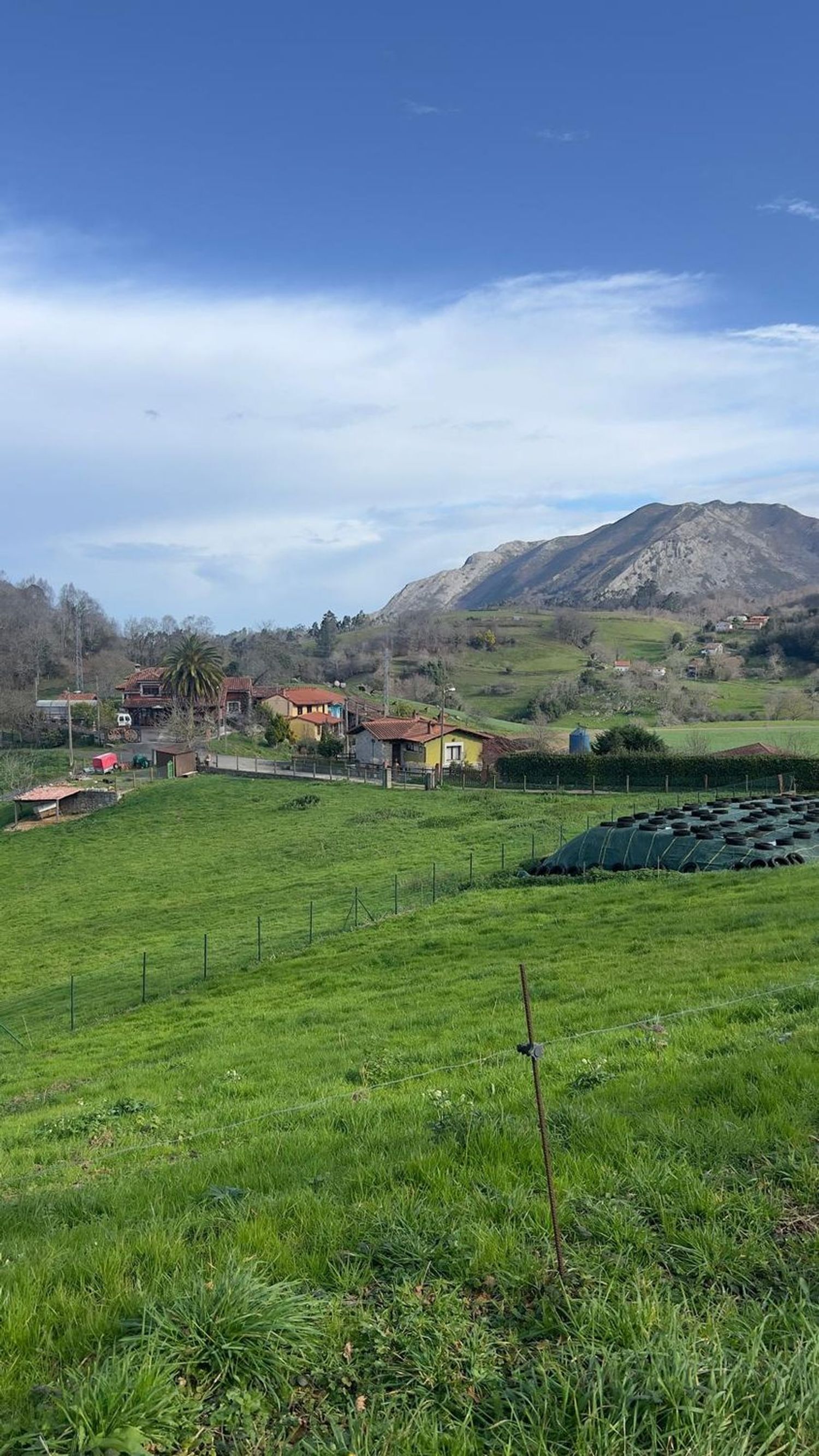 Fincas y solares-Venta-Les Avellanes i Santa Linya-2044320-Foto-4