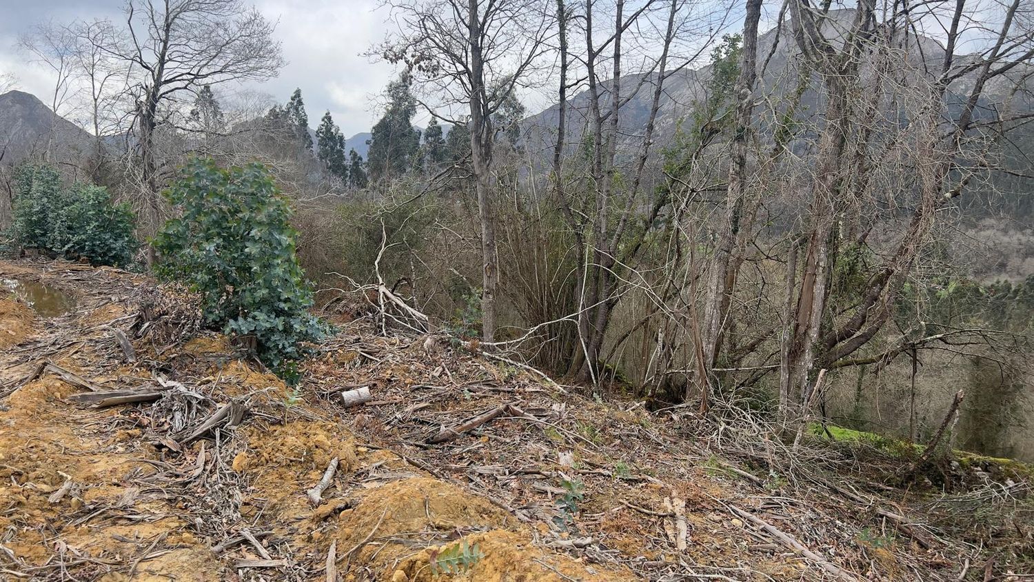 Fincas y solares-Venta-Les Avellanes i Santa Linya-2044320-Foto-10