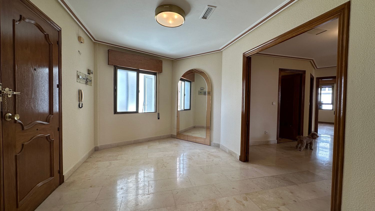 Pisos-Venta-Manzanares-1094257-Foto-8