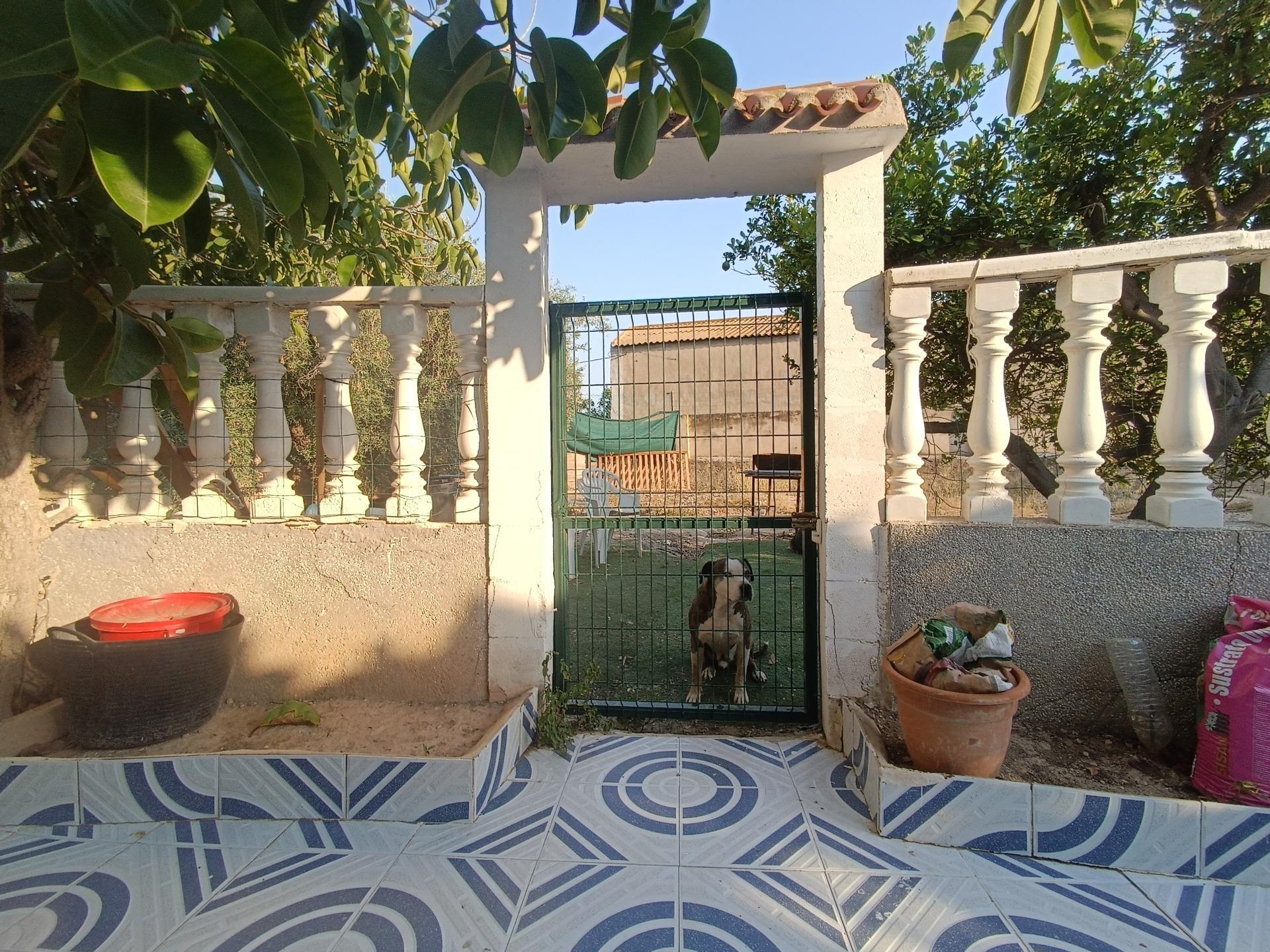 Pisos-Venta-Murcia-1835323-Foto-21
