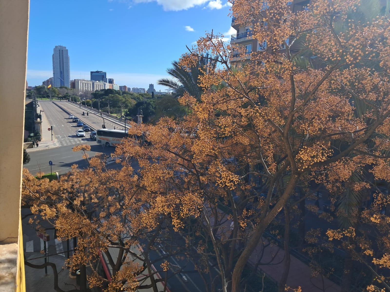 Pisos-Venta-Valencia-2063625-Foto-35