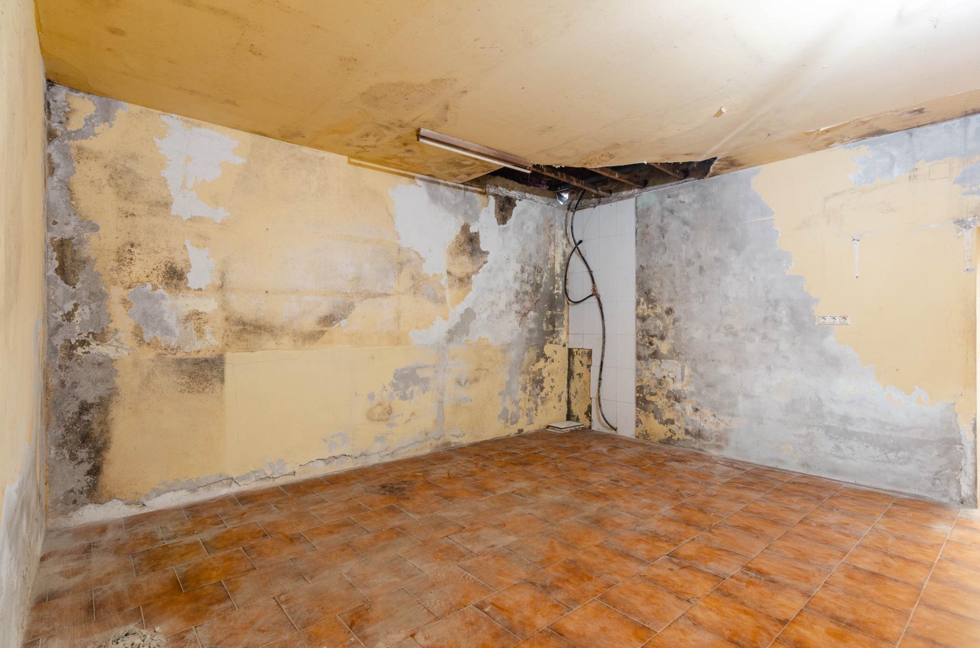 Negocios-Venta-Salas-2063634-Foto-21