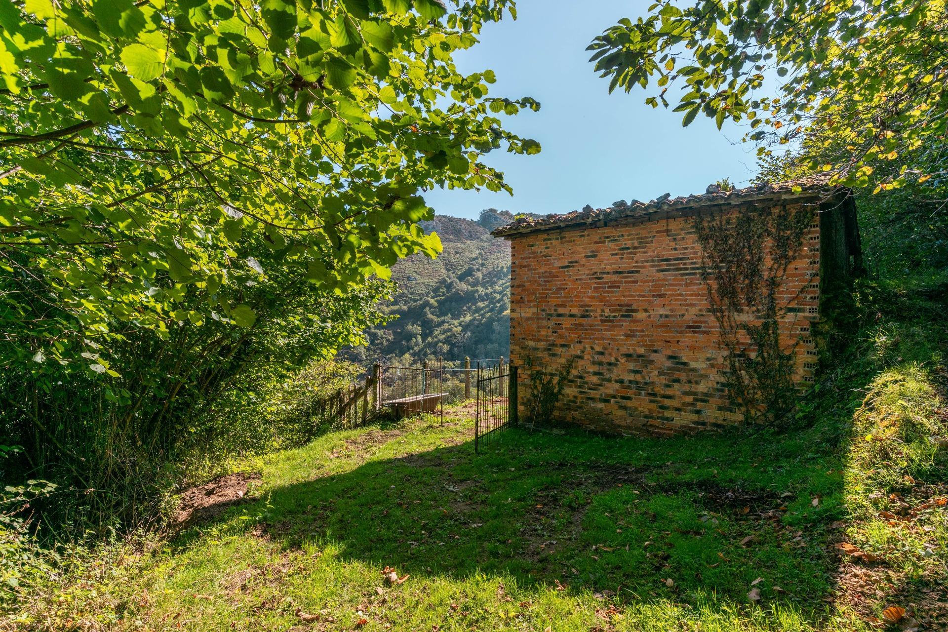 Casas o chalets-Venta-Bimenes-2063640-Foto-4