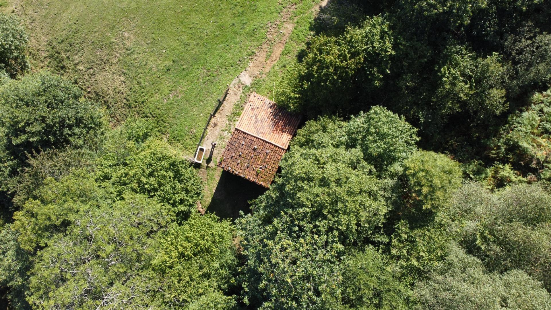 Casas o chalets-Venta-Bimenes-2063640-Foto-10