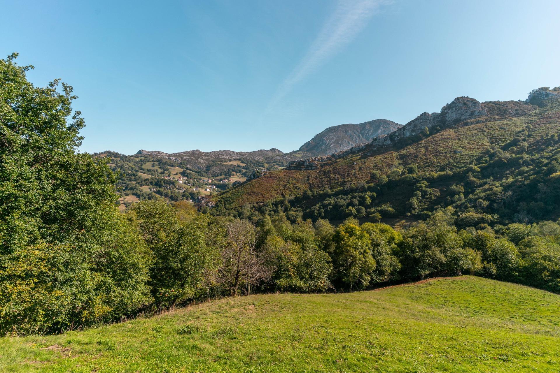 Casas o chalets-Venta-Bimenes-2063640-Foto-14