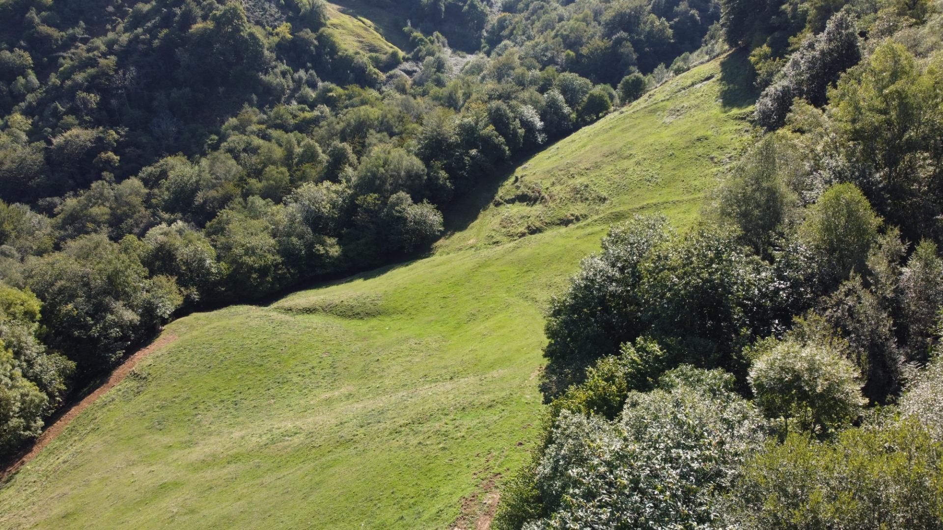 Casas o chalets-Venta-Bimenes-2063640-Foto-15