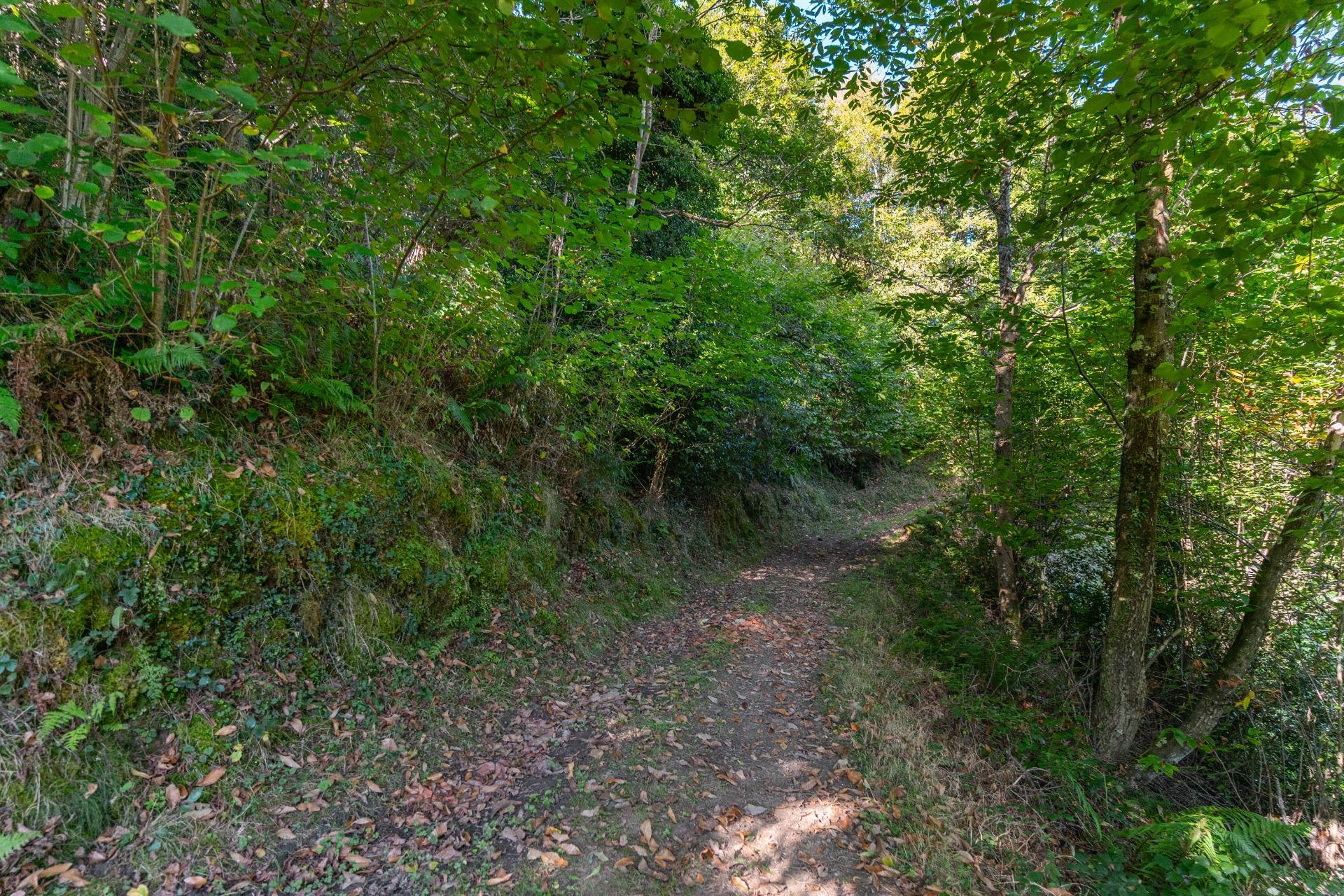 Casas o chalets-Venta-Bimenes-2063640-Foto-13