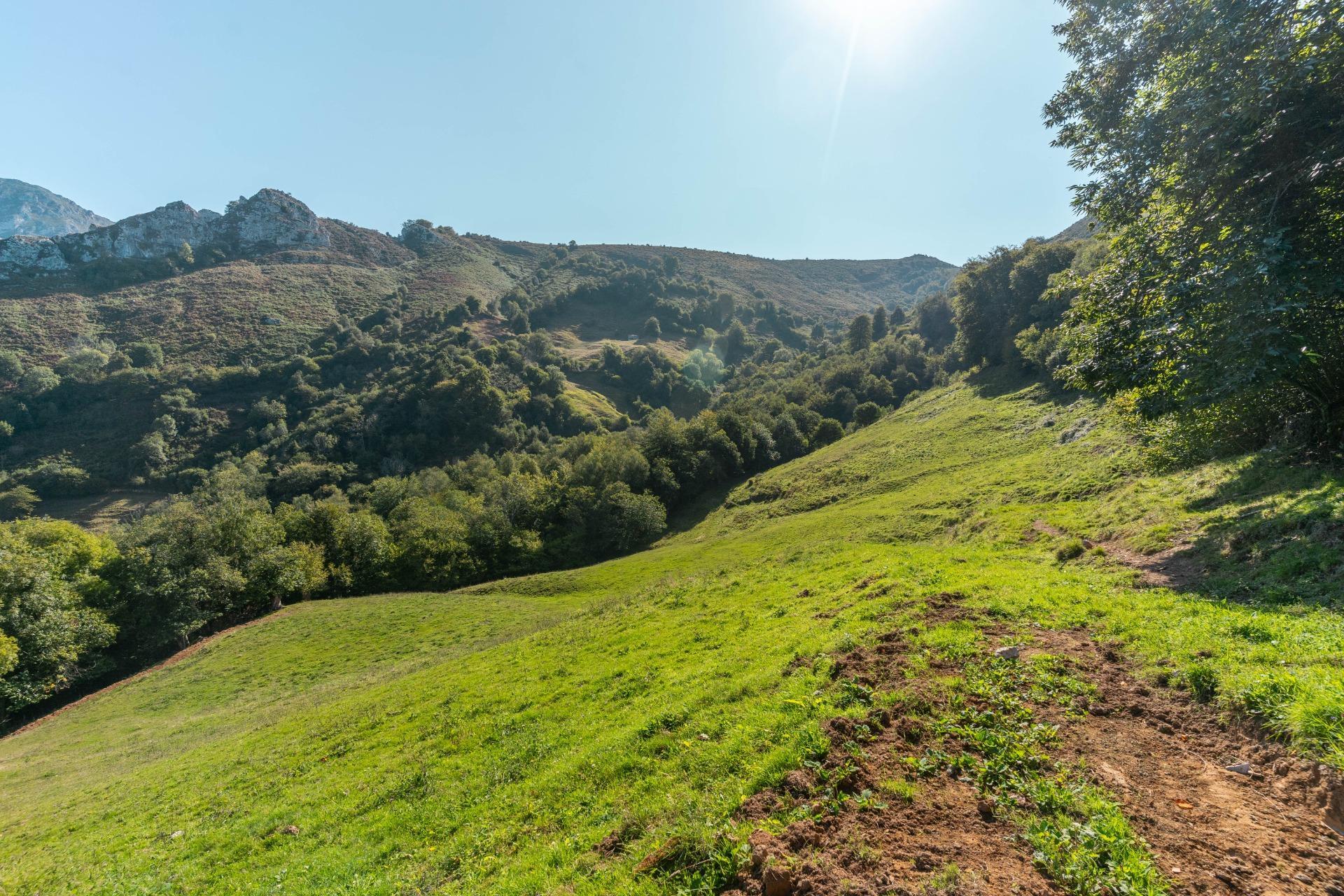 Casas o chalets-Venta-Bimenes-2063640-Foto-12