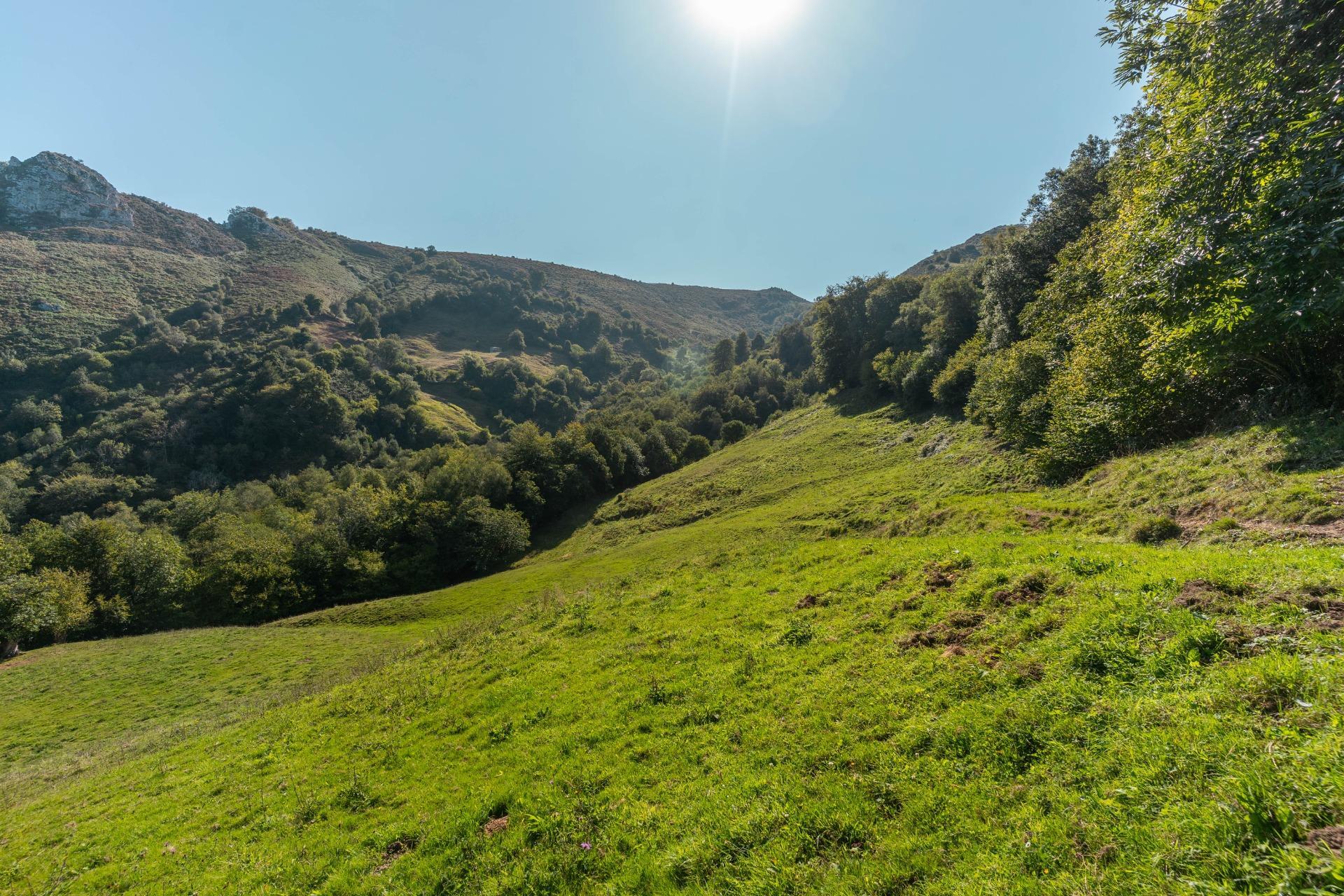 Casas o chalets-Venta-Bimenes-2063640-Foto-11