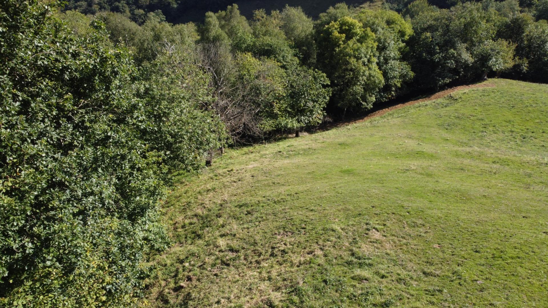 Casas o chalets-Venta-Bimenes-2063640-Foto-17