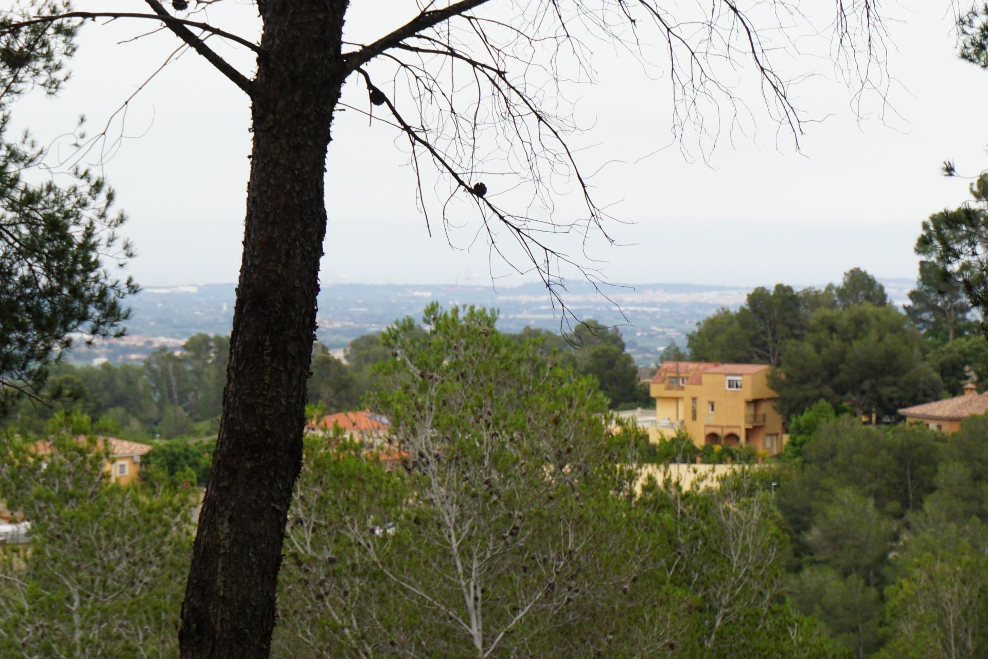 Fincas y solares-Venta-Riudecanyes-1886221