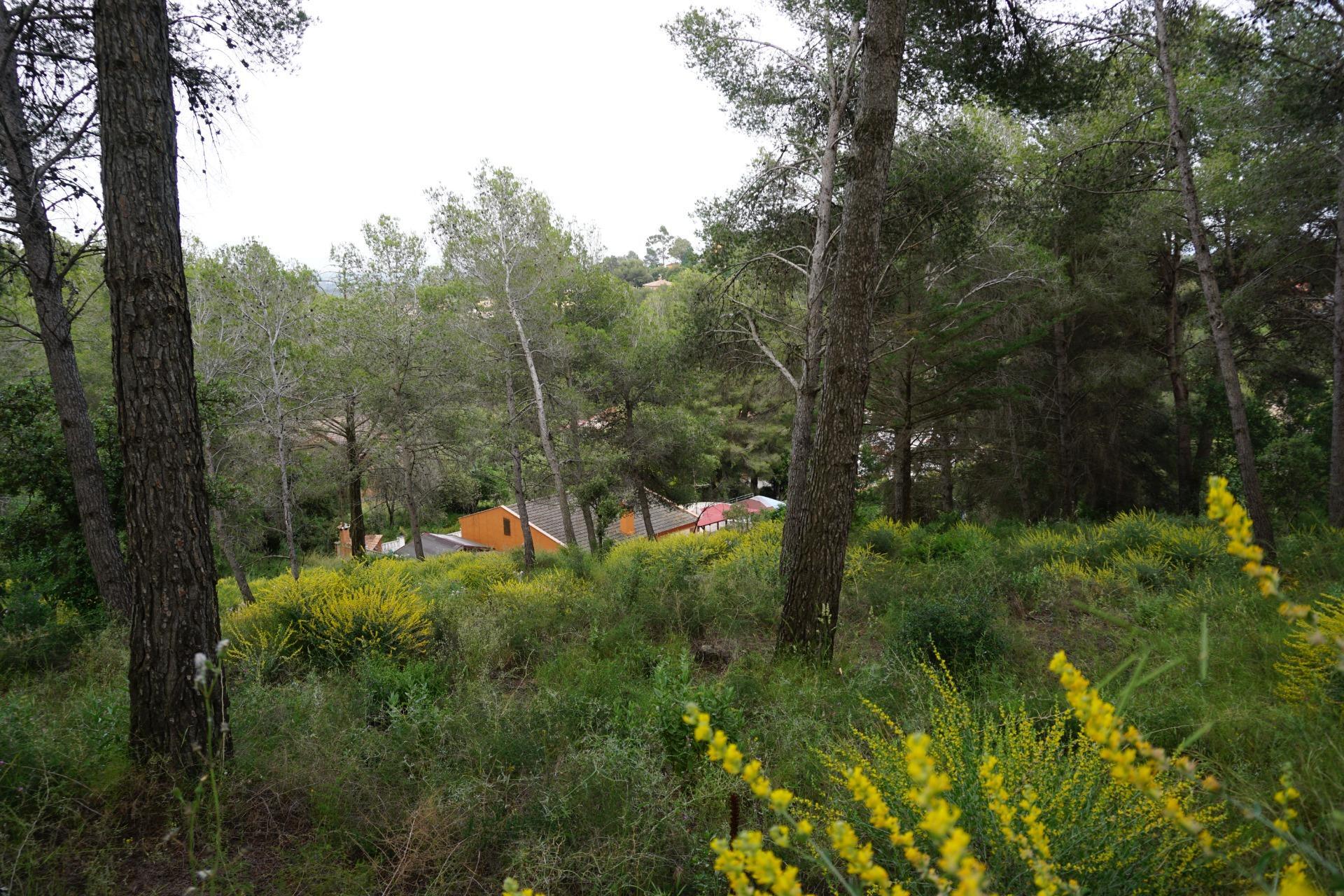 Fincas y solares-Venta-Riudecanyes-1886221-Foto-10