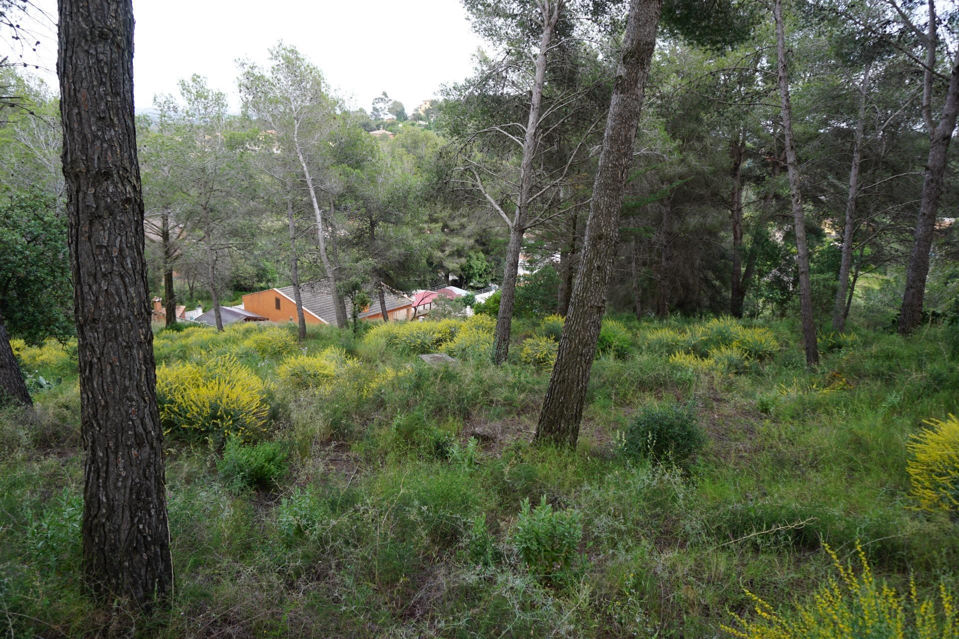 Fincas y solares-Venta-Riudecanyes-1886221-Foto-9