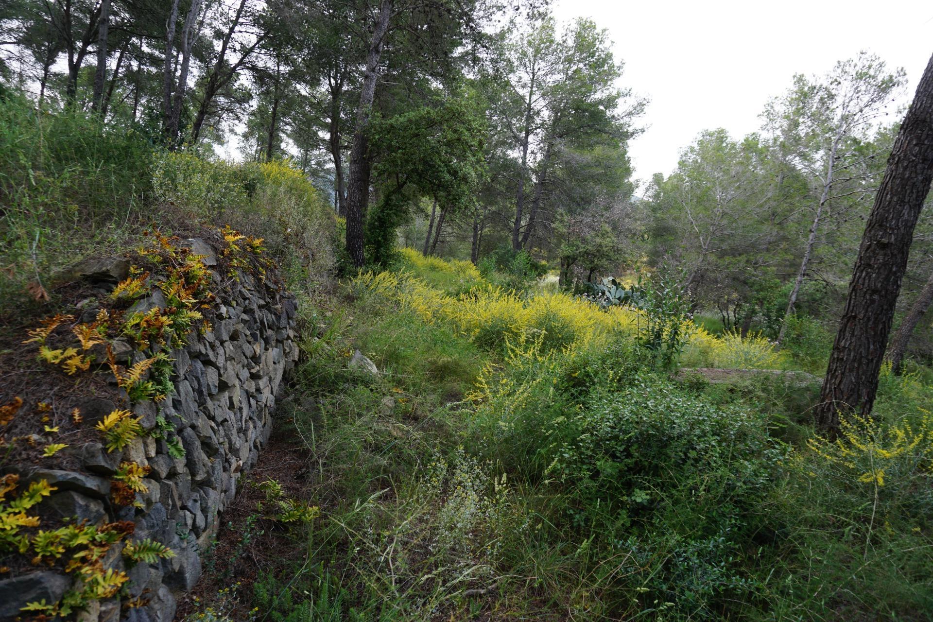 Fincas y solares-Venta-Riudecanyes-1886221-Foto-12